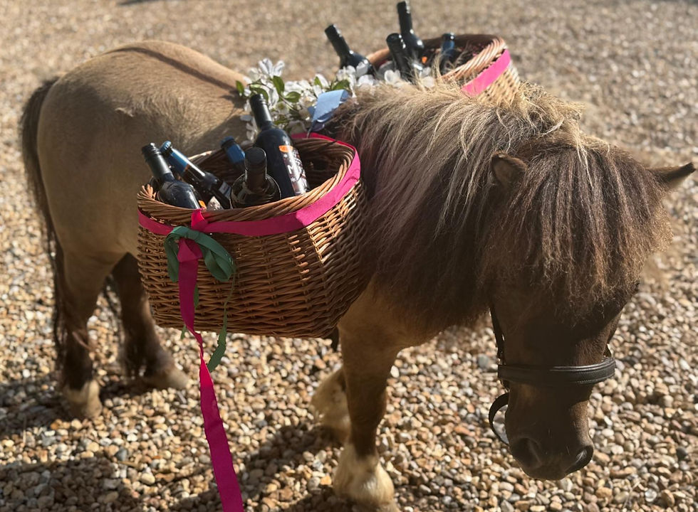 f5828882-3dc2-43ec-88ac-1051c5408bf1_edited