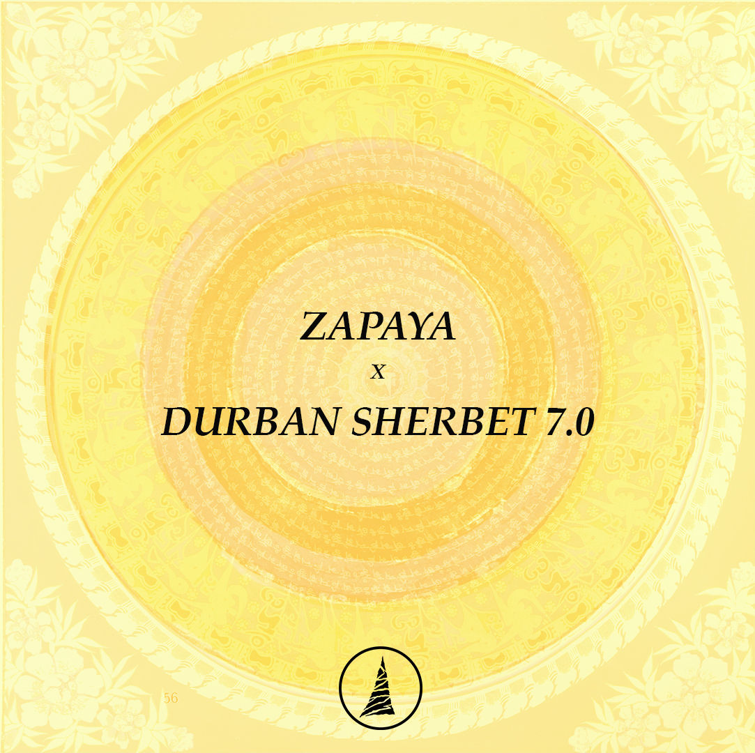 ZAPAYA X DS 7.0