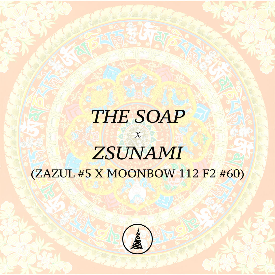The Soap x Zsunami