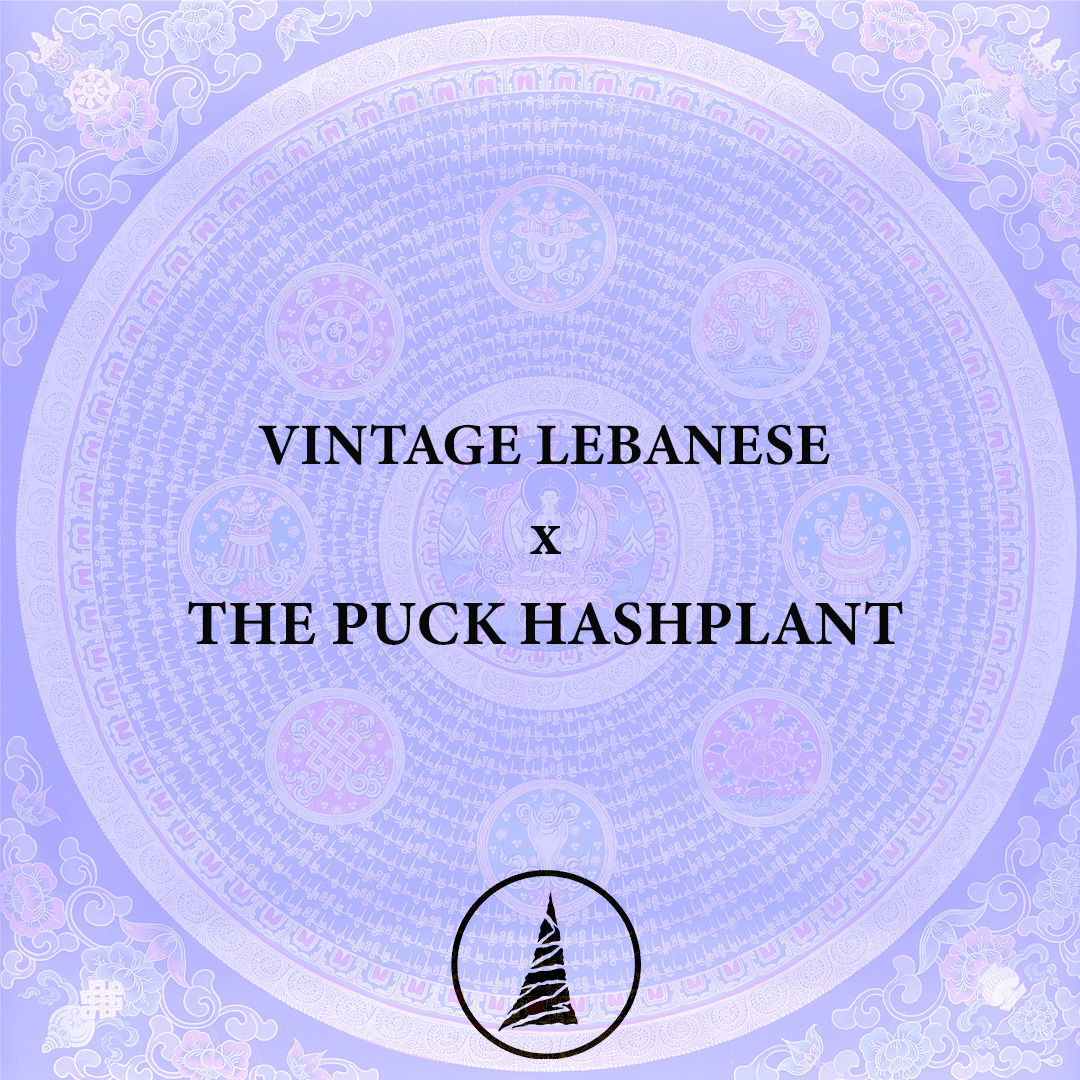 Vintage Lebanese x THE PUCK