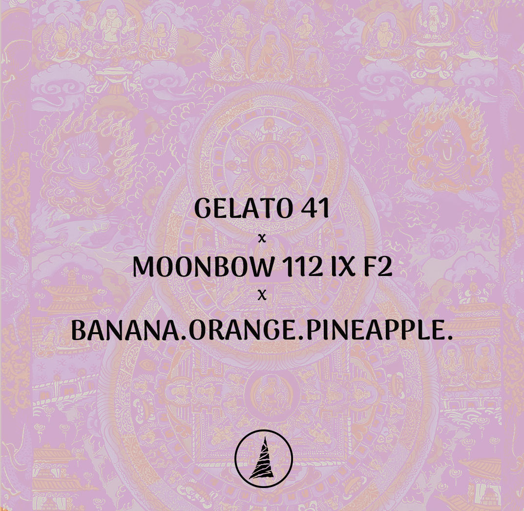 G41 X MOONBOW X BOP