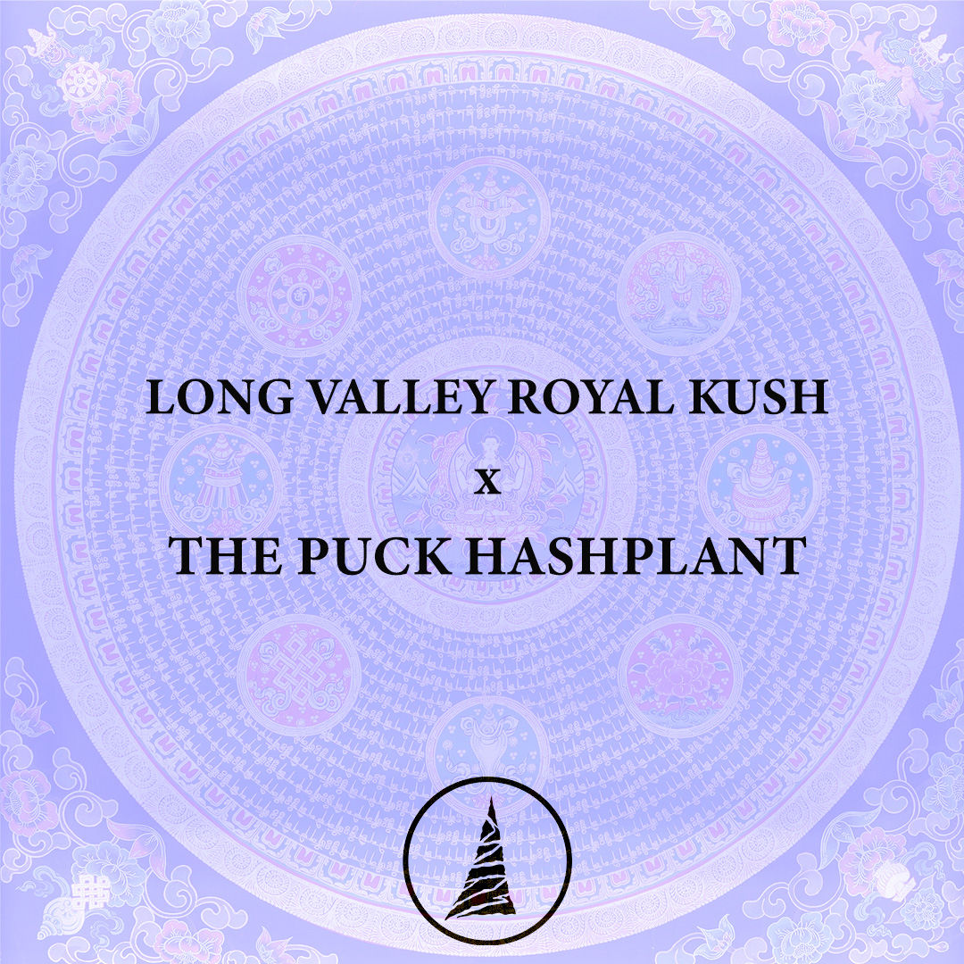 Long Valley Royal Kush x THE PUCK