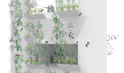 חזית פוטי.jpg