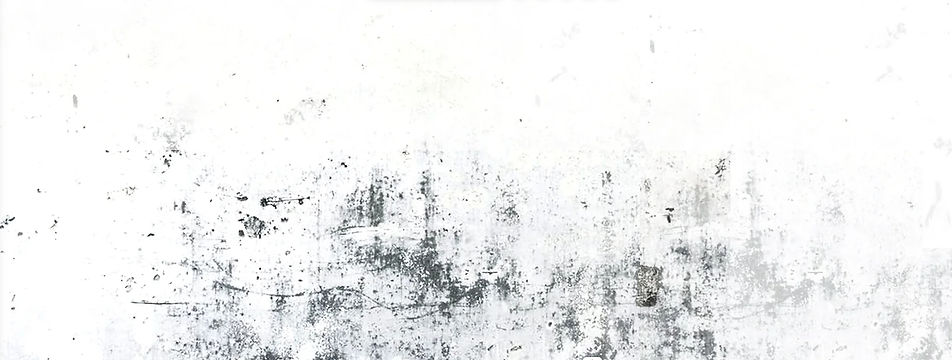 Fond de Bande Blanc 2.jpg