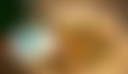 Empresas que transformam resíduos de alimentos em novos produtos