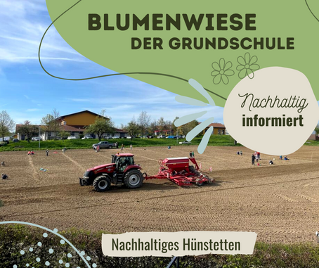 Kinder pflanzen Blühwiese