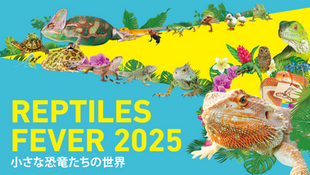 レプタイルズフィーバー2025に出店します
