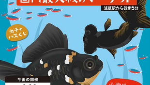 第45回アクアリウムバスに出店します