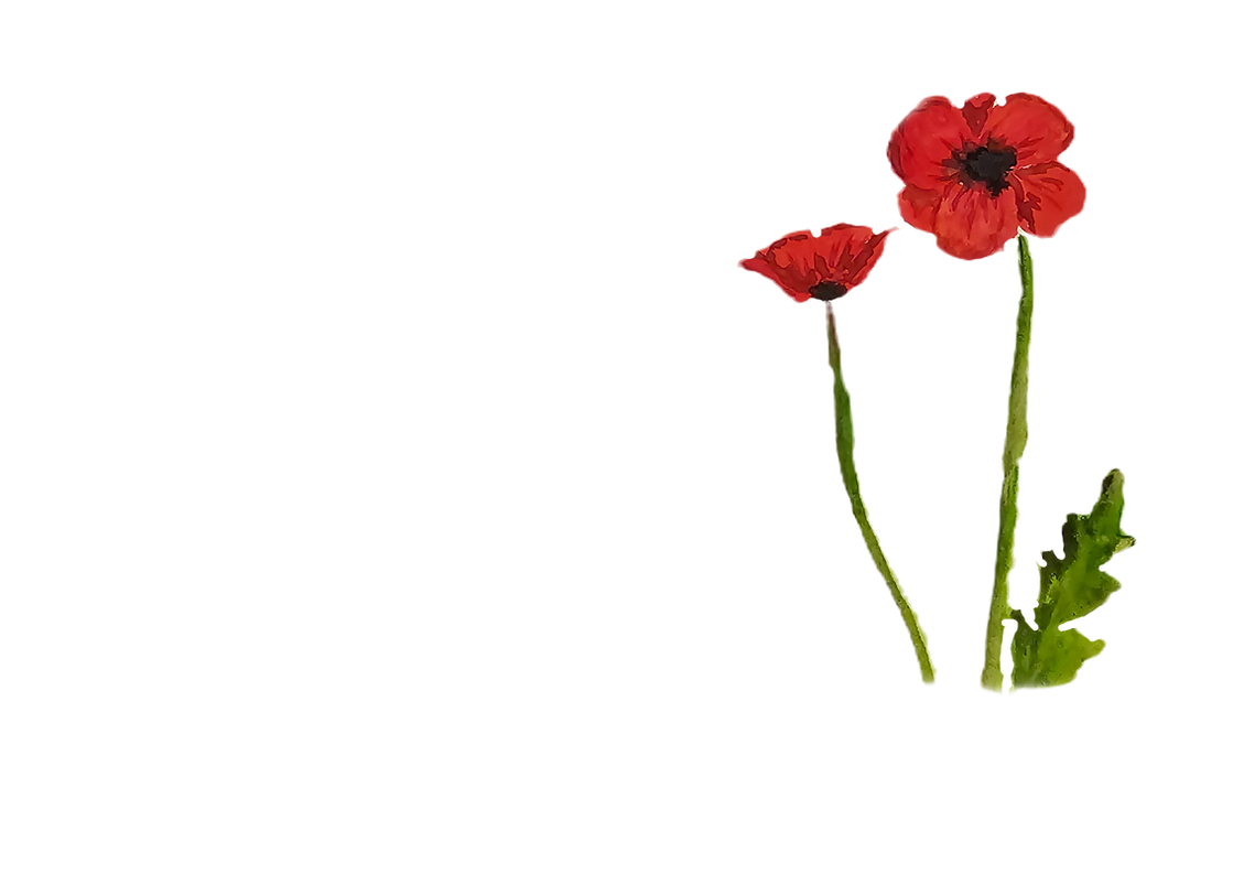 20240216_000920_edited_edited.png