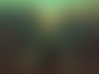 LEAD FROM WITHIN | Day 4 Dog · Kajib' Tz'i'