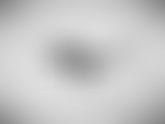 Macaco preto se equilibra em galhos finos, cobrindo um fundo claro. Foto em preto e branco, sensação de movimento e liberdade.