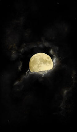 AE418D6C-53D0-469B-8DBB-C303243912D7.jpeg