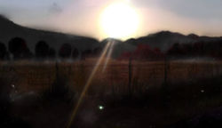 5AF90E00-69E8-45E8-B758-98867940630A.jpeg