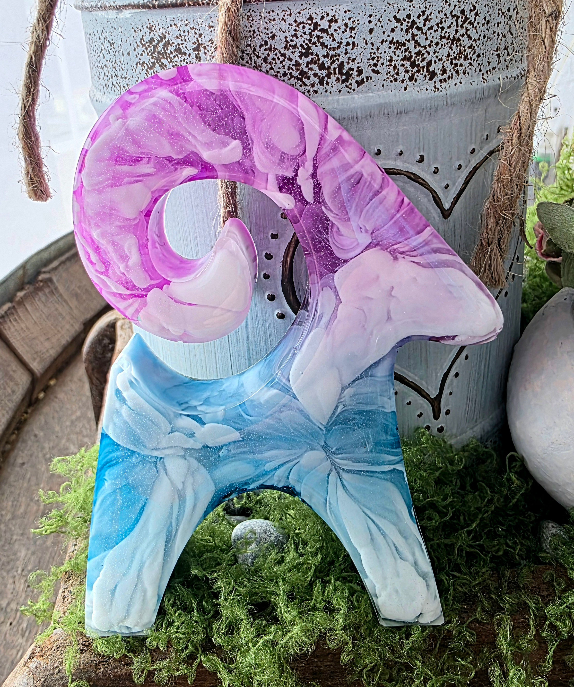 Steinbock in wundervoller Optik 