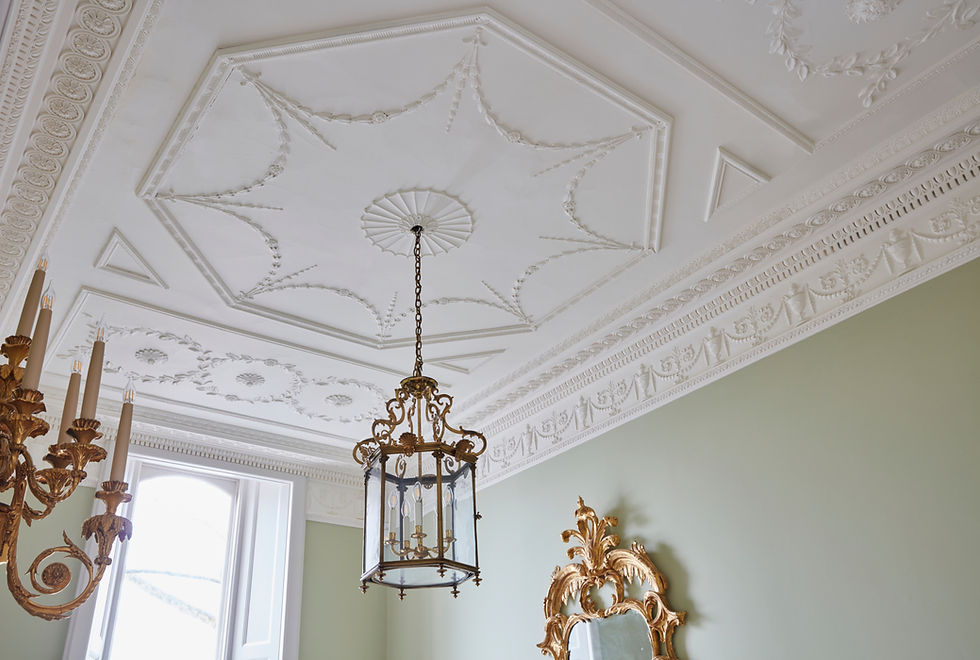 Cornice London Ornate Ceiling Restoration services image 1