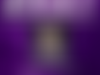 Mandarins 2027: Steering Committee and Senior Leadership