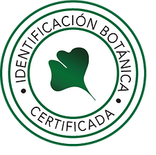 certificación