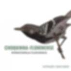 Illustration by: Tomas Sigrist - Source