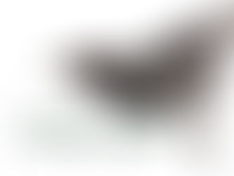 Rio de Janeiro Antwren