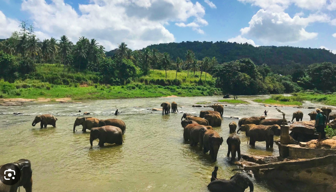 Sri Lanka 9th - 16th January 2027