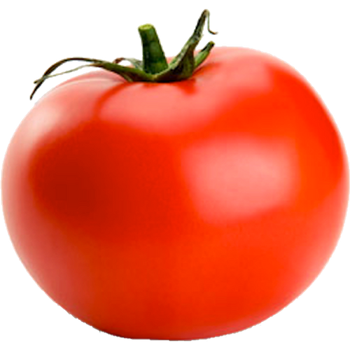 Tomato | farmerkevs