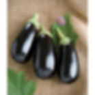 Eggplant