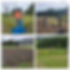 PXL_20231027_171401598-COLLAGE.jpg