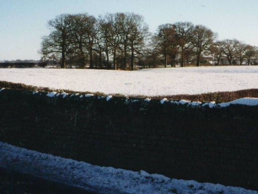 View From Bagley Lane Canal Bridge