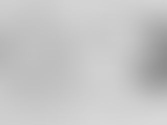 The Witness Programme 1984