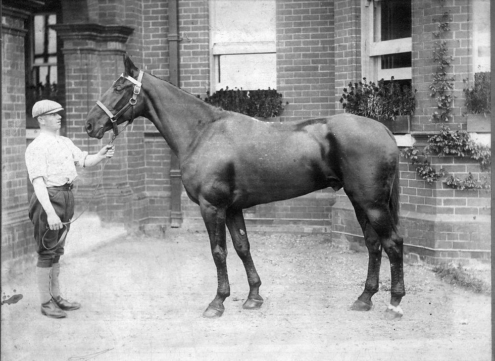 Elijah Fox In Uniform - With Horse