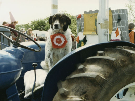 Carnival 1986-Bob Poole'S Dog