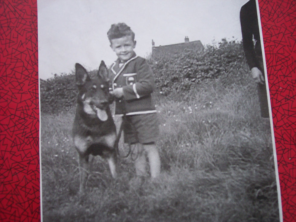Letter Re Compensation For Killing Hens 1961 - Photo