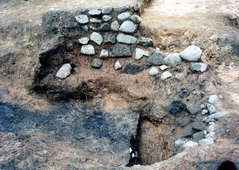 Lamb Inn Excavations, Audlem - Part 10
