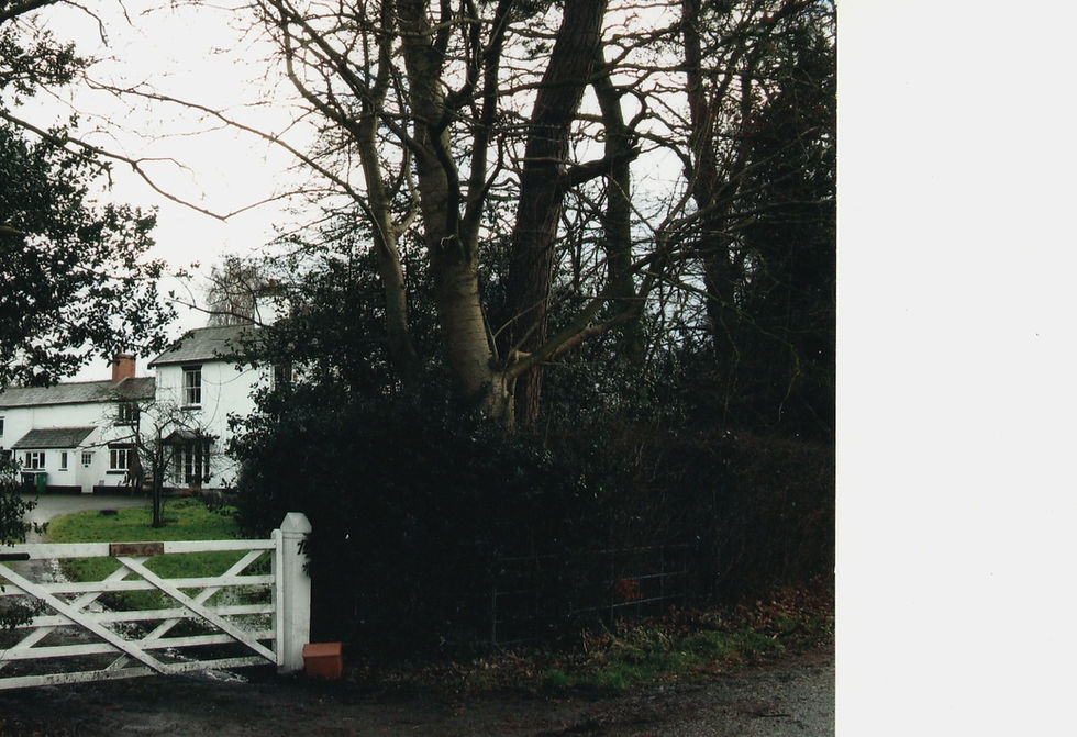 Witton Lodge 2008 Demolished For Witton Close - Part 1