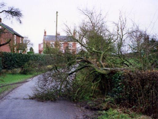Christmas Eve Gales, 1997 Paddock Lane