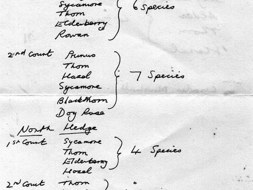 Hedge Count C.1980