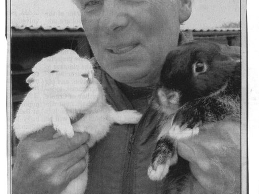 Ken Parkes, RSPCA Seeks Home For Rabbits C.1982