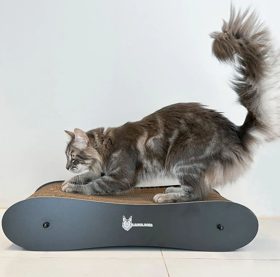 @trigatos