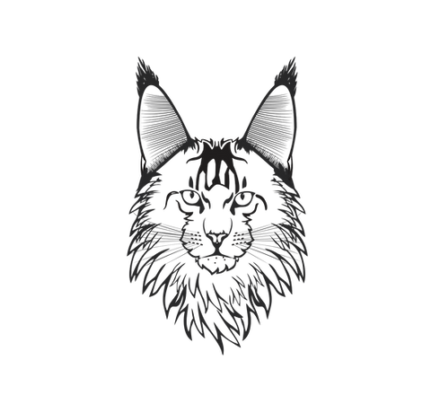 Logo Lince Cats