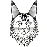 Logo de Lince Cats