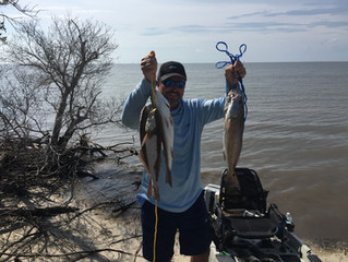 Kayak Fishing Fort Morgan