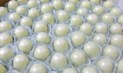 doces-finos-e-mini-trufas-aproveite-casamentos-e-festas-12890-MLB20067788669_032014-F - Copia - Copi
