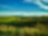 Farm photo.jpg