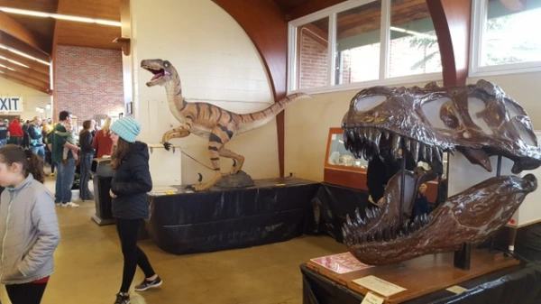 dinosaurs.jpeg-2.webp
