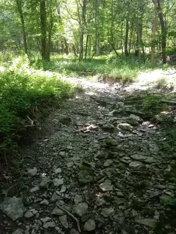 107713575_115841950186863_1595726168469599347_n.jpg