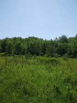 107234240_115838423520549_1186752253892134037_n.jpg
