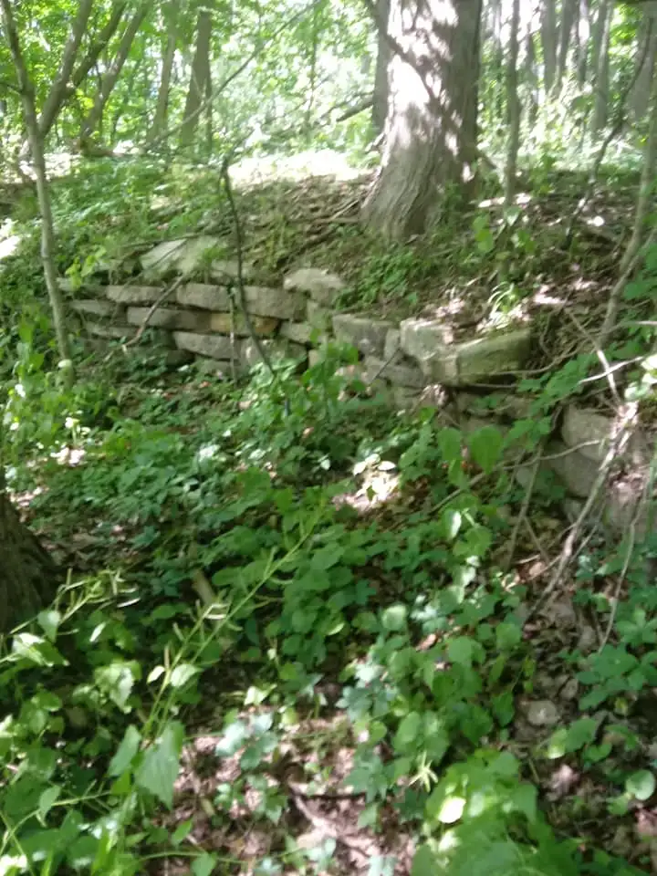 107016855_115850413519350_4339898340776123162_n.jpg-2.webp