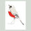 Thumbnail: artprint A4 - robin