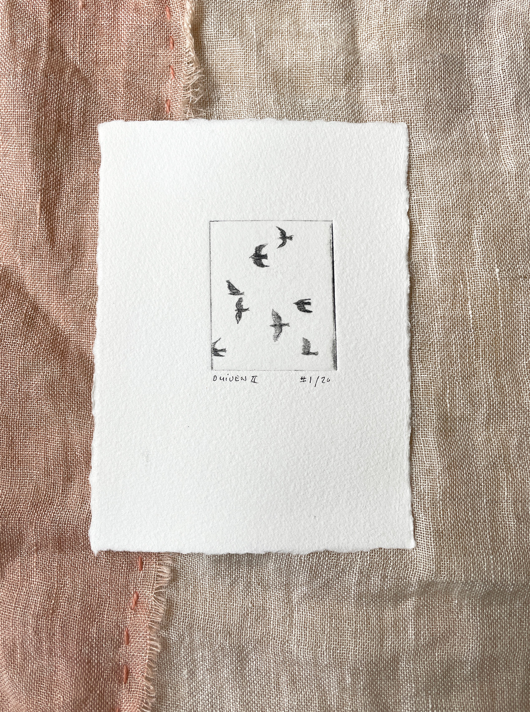 etching - little flock of doves