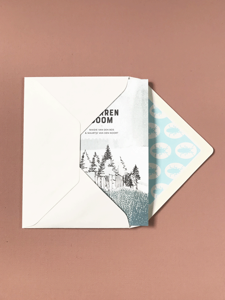 Thumbnail: loopvis – kakkerlakje – oh sparrenboom!